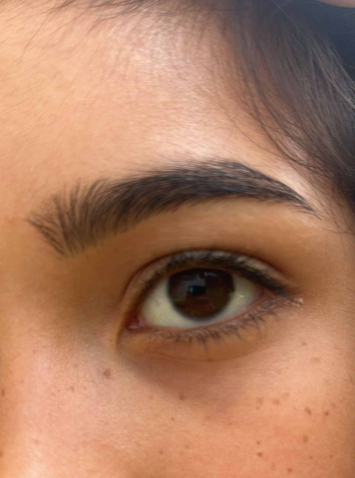 Sopracciglia